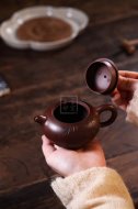 《宮燈》宜興紫砂壺名師實(shí)力派名家手工紫朱泥金絲西施泡茶壺