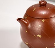 靜樂(lè)