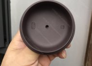 高風亮節(jié)