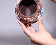 《鹿鹿鴻?！? title=