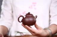 《獻(xiàn)壽》